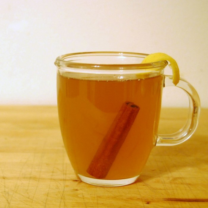 Photo du cocktail Hot Toddy